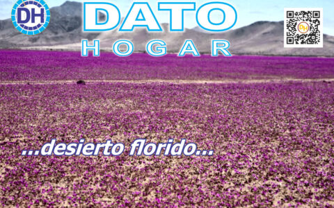 Revista Publicitaria de carácter Cultural, Autoayuda, Recetas de cocina, Salud, Ecología, Entretención y más